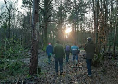 Sunday walks in the woods. Credit: Steve Lewis