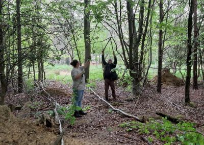 Volunteering in the woods. Credit: Steve Lewis