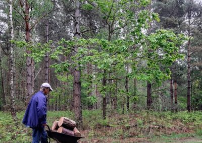 Volunteering in the woods. Credit: Steve Lewis