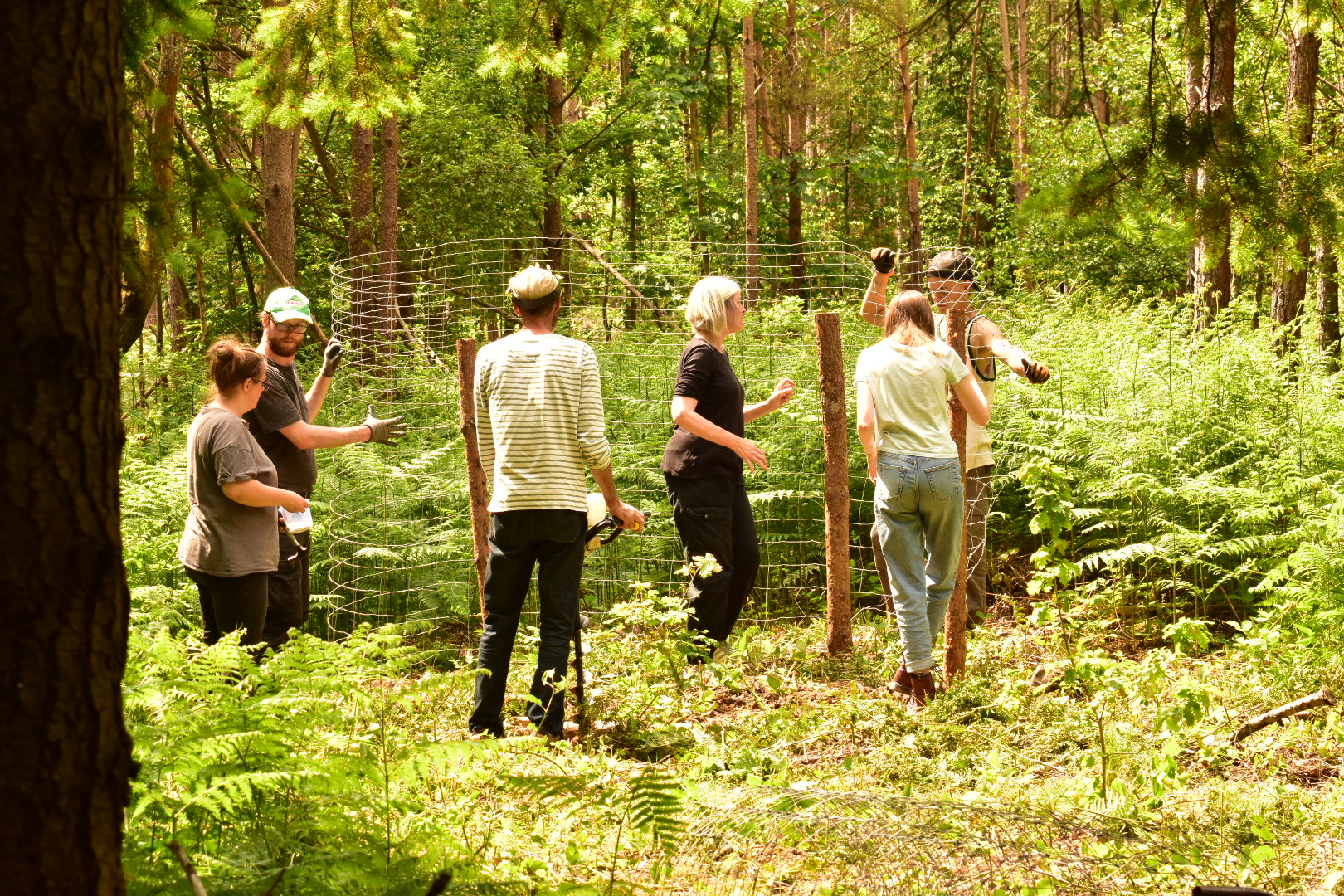 A Family Day In The Woods Credit: Heather Ball green and white bird on gray wood