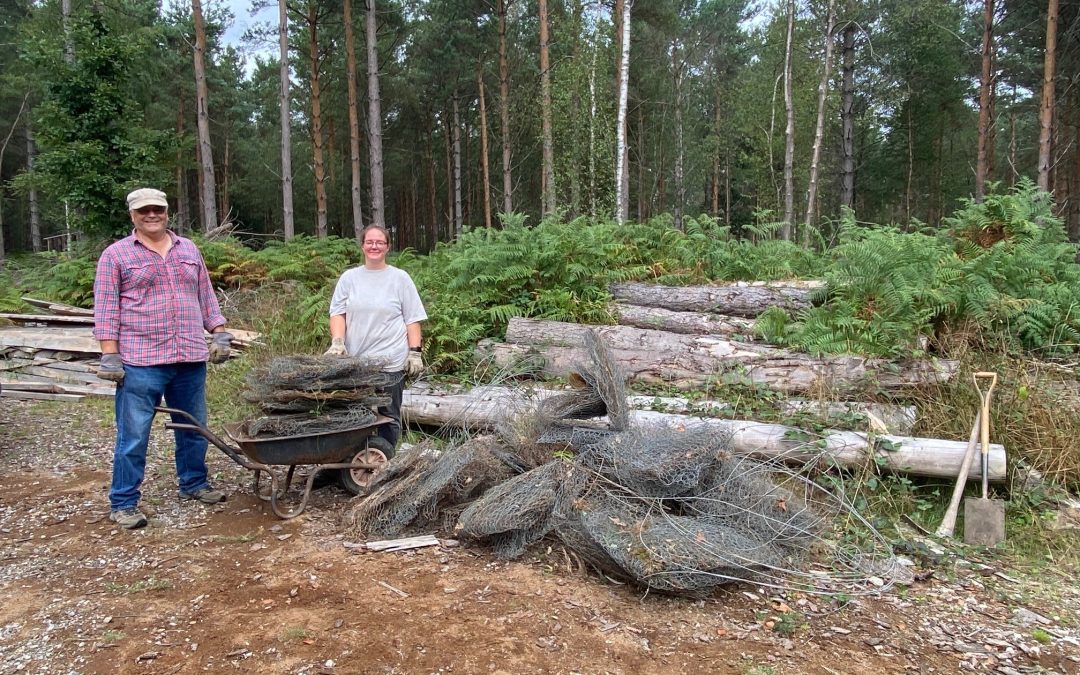 Conservation Volunteers Help Make The Woods Safer 